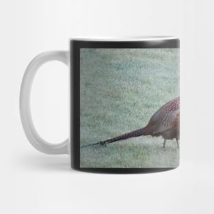 Pheasant in the dewy grass Mug